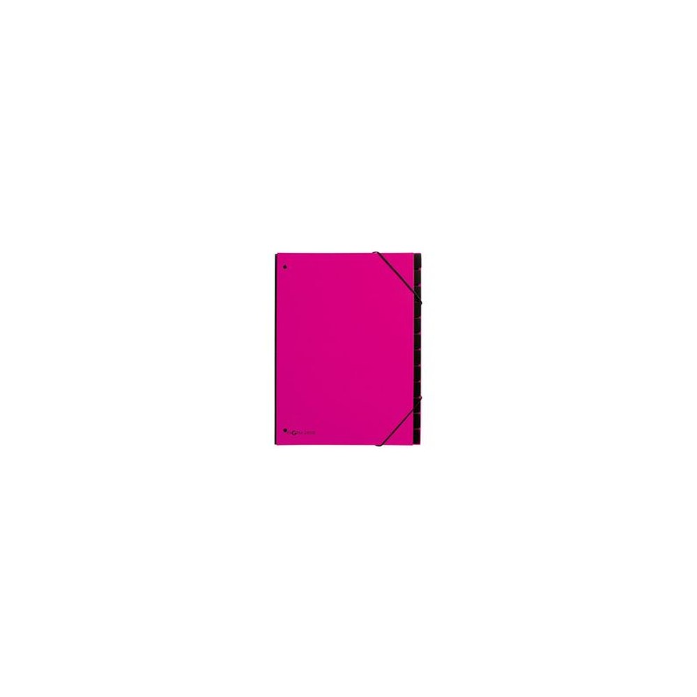 PAGNA Trieur Trend, A4, 12 compartiments, rose foncé