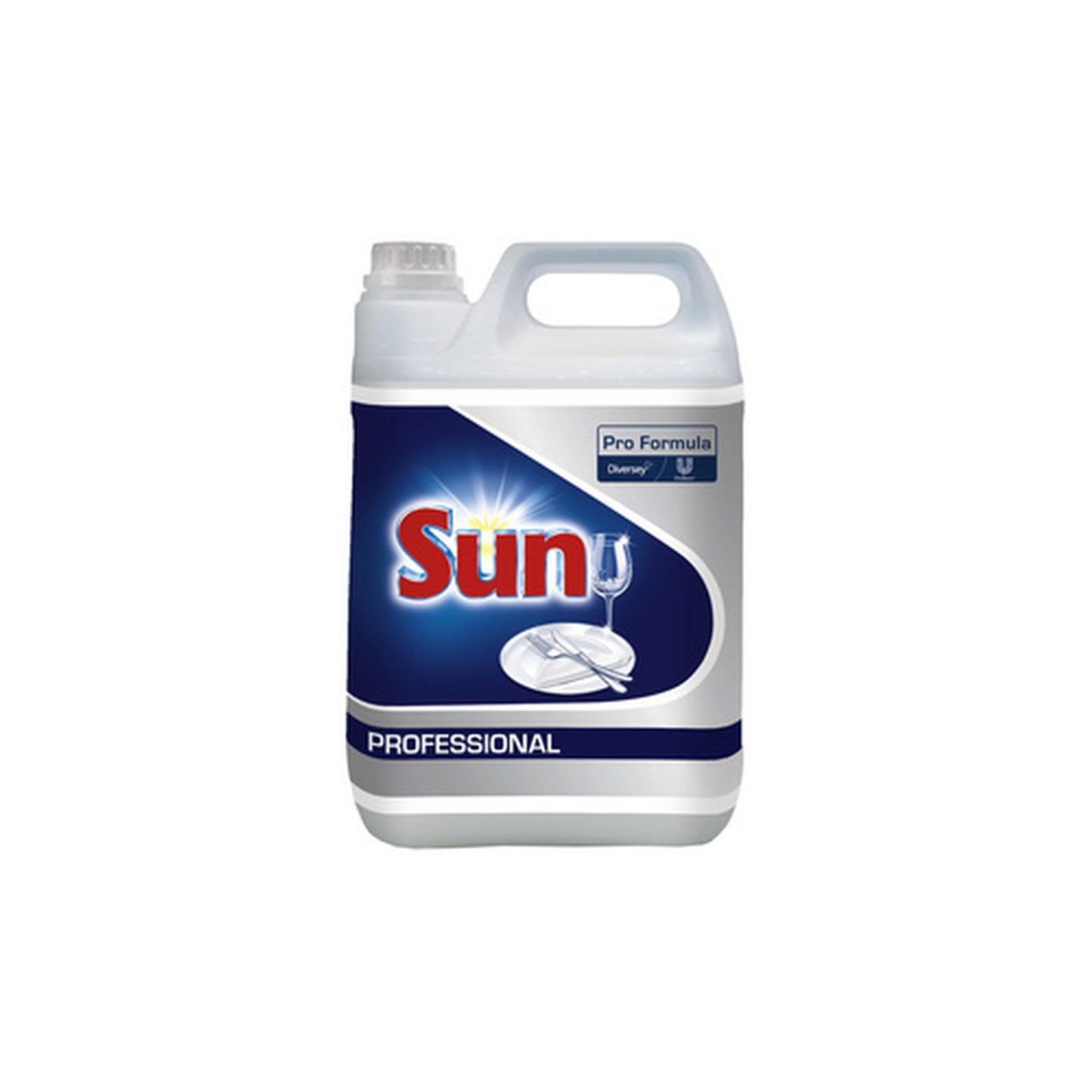Sun Rince-éclat Professional, 5 litres