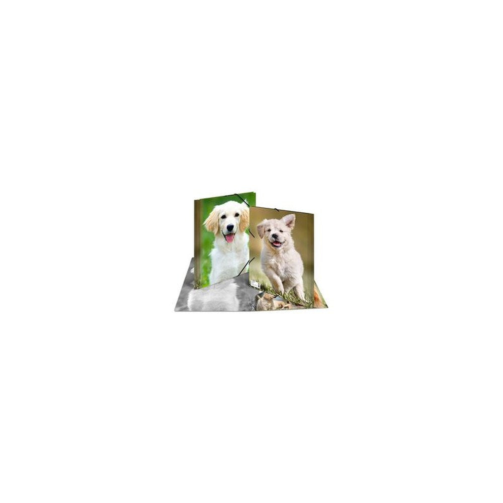 HERMA Chemise élastique "chiens", transparent, en PP, A4,