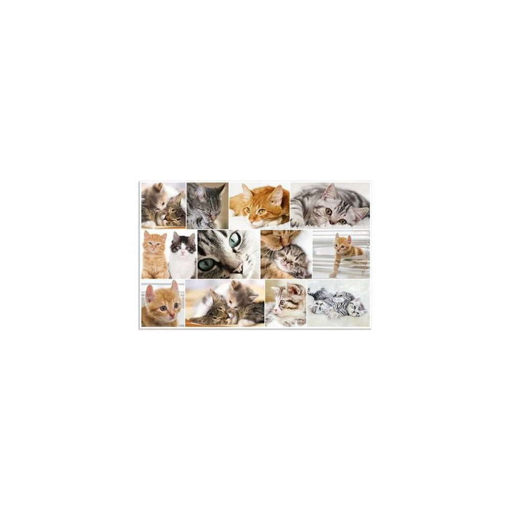 HERMA Sous-main "Chats", (L)550 x (H)350 mm