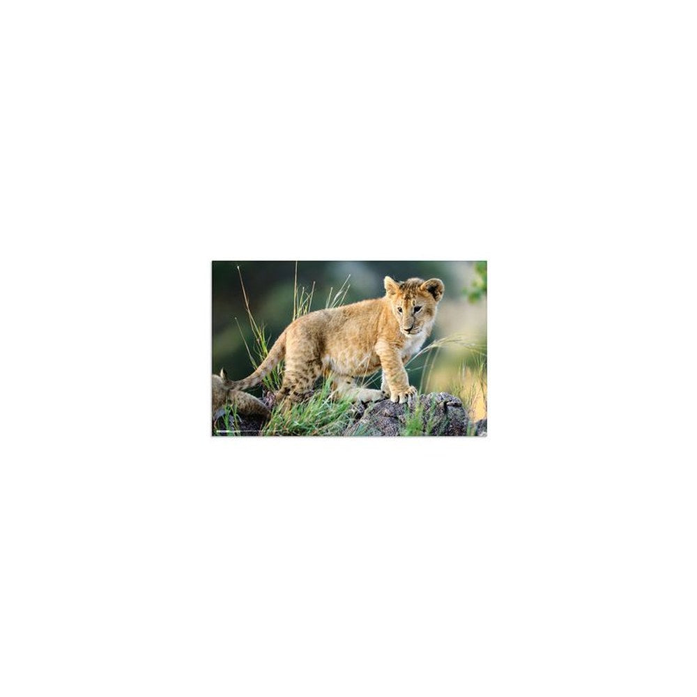 HERMA Sous-main "Animaux d'Afrique", (L)550 x (H)350 mm