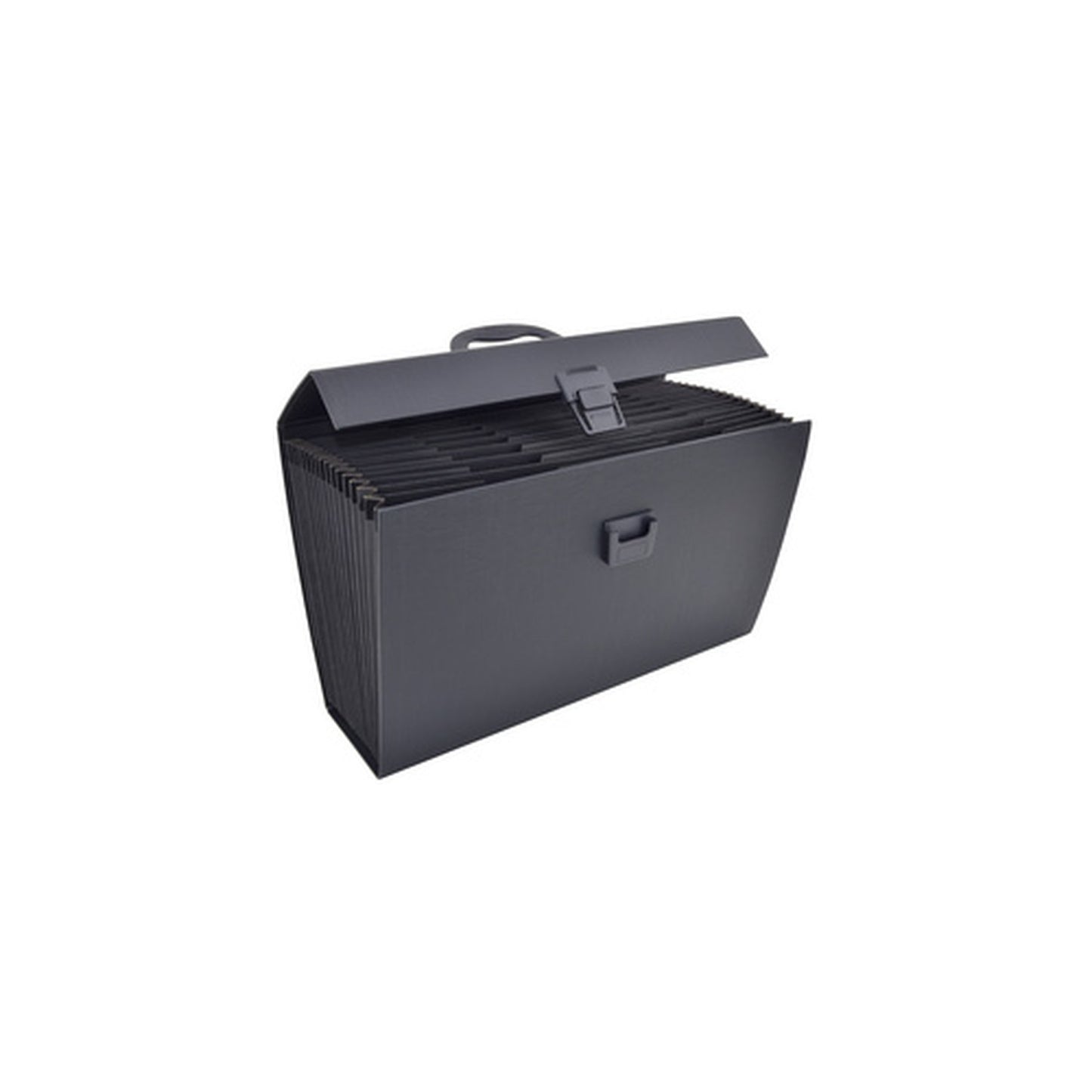 RAPESCO Trieur valisette, A4, 19 compartiments, noir