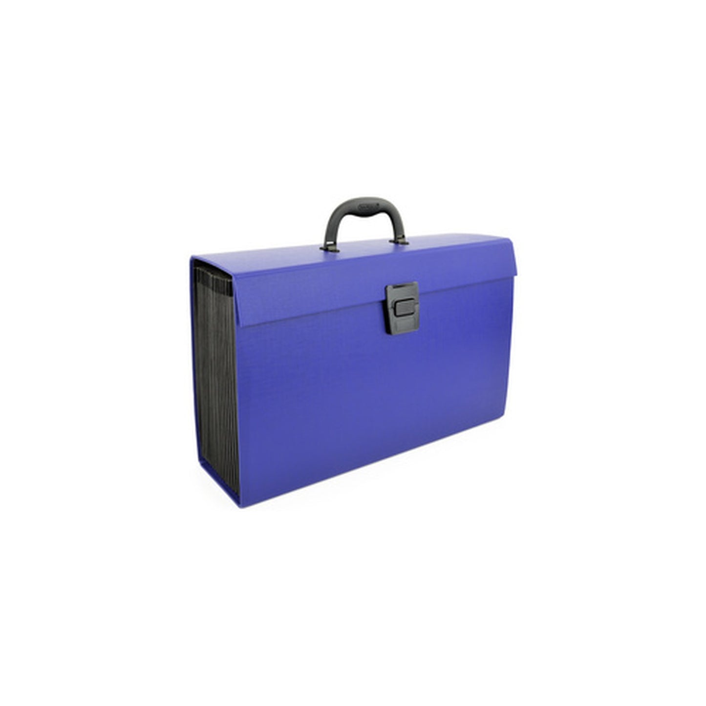 RAPESCO Trieur valisette, A4, 19 compartiments, bleu