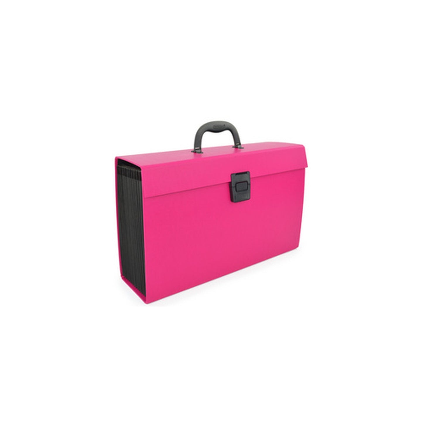 RAPESCO Trieur valisette, A4, 19 compartiments, rose vif