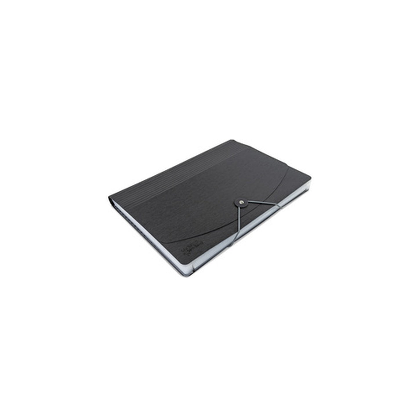 RAPESCO Trieur, A4, 13 compartiments, noir