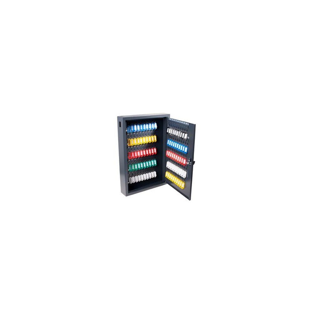 pavo Armoire à clés Deluxe, pour 100 clés, gris foncé