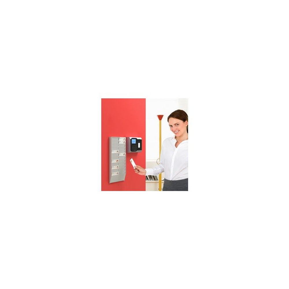 PAPERFLOW Porte-fiches employés mural, 24 compartiments