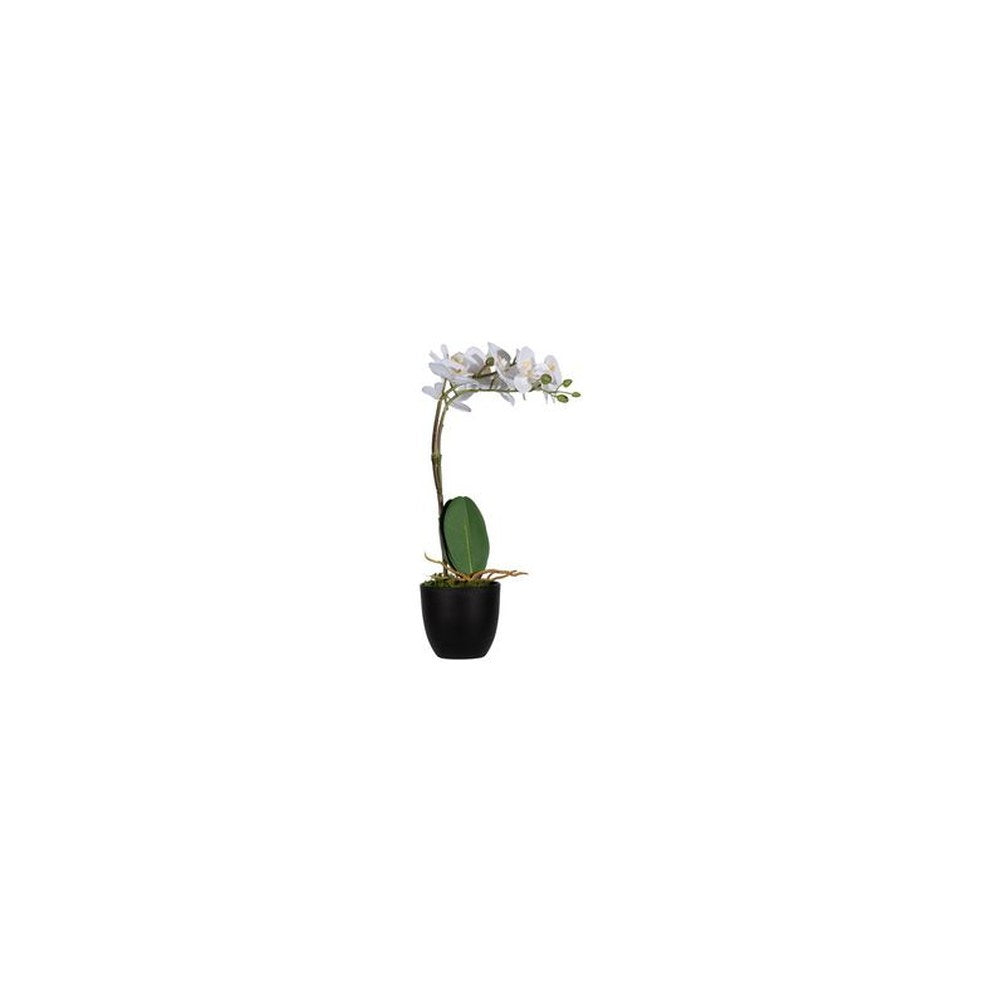 PAPERFLOW Plante artificielle "orchidée", (H)400 mm, blanc