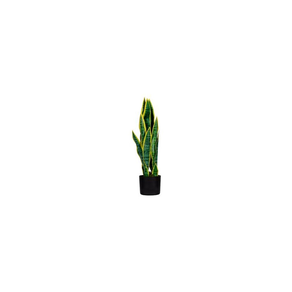 PAPERFLOW Plante artificielle "sanseviera", hauteur: 650 mm