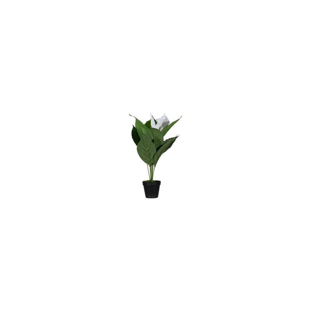 PAPERFLOW Plante artificielle "fleur de lune", (H)550 mm