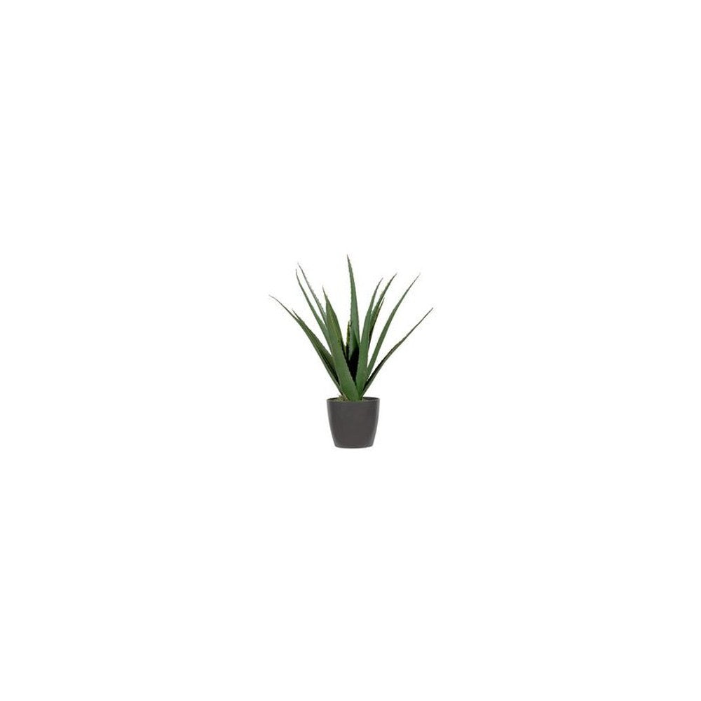 PAPERFLOW Plante artificielle "aloe vera", hauteur: 450 mm