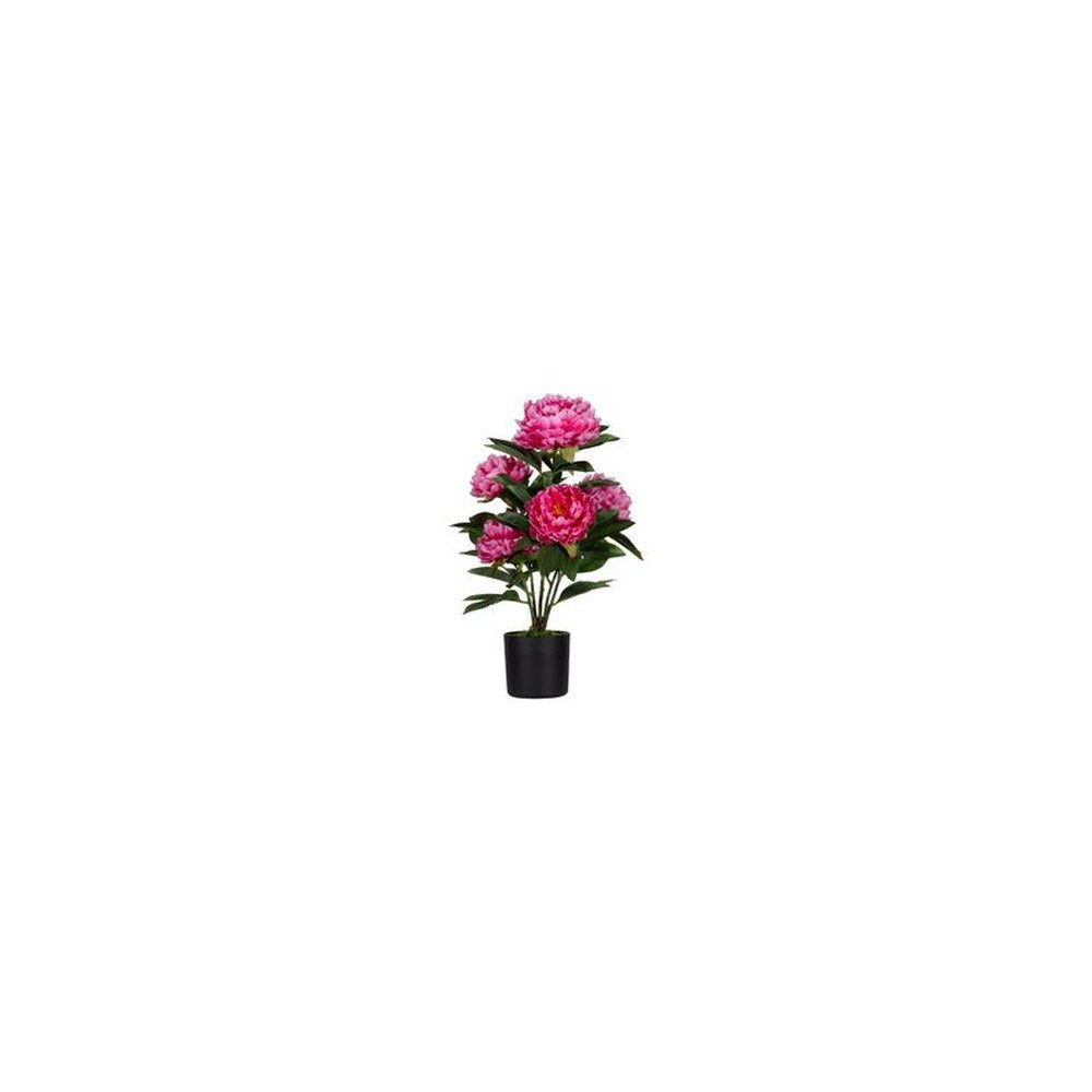PAPERFLOW Plante artificielle "pivoine", (H)550 mm, rose