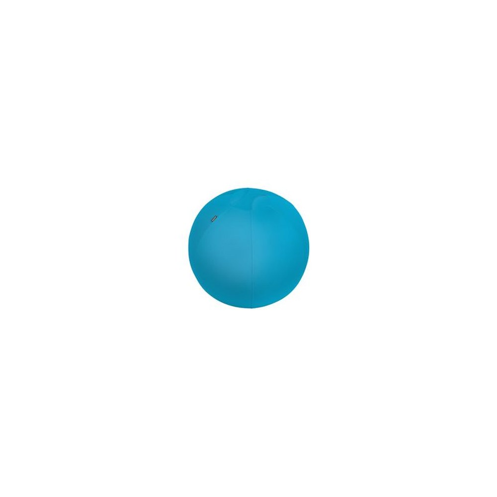 LEITZ Ballon d'assise Ergo Cosy, diamètre: 650 mm, bleu