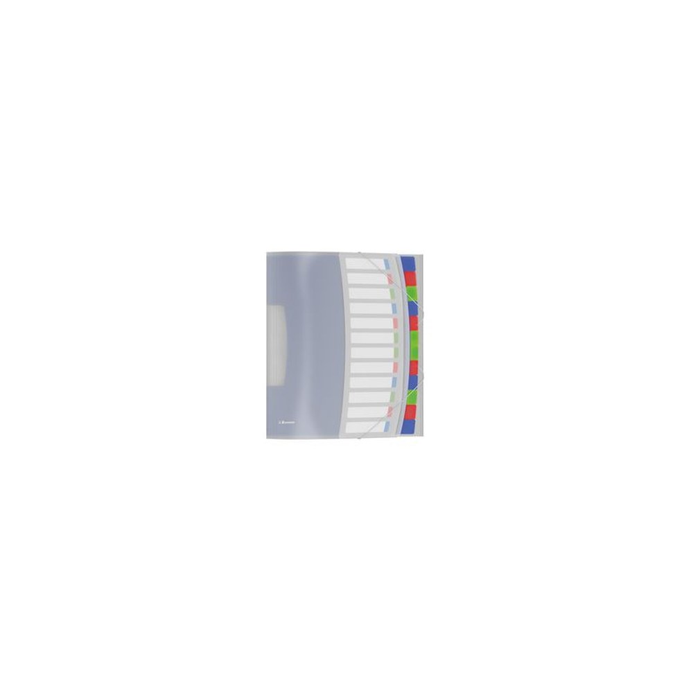 Esselte Trieur VIVIDA, A4, PP, 12 touches, multicolore
