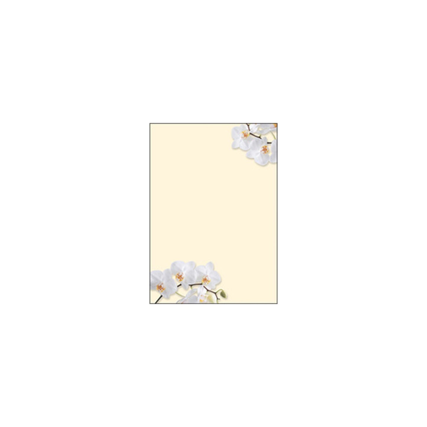 sigel Papier à motif, A4, 90 g/m2, motif "White Orchid"