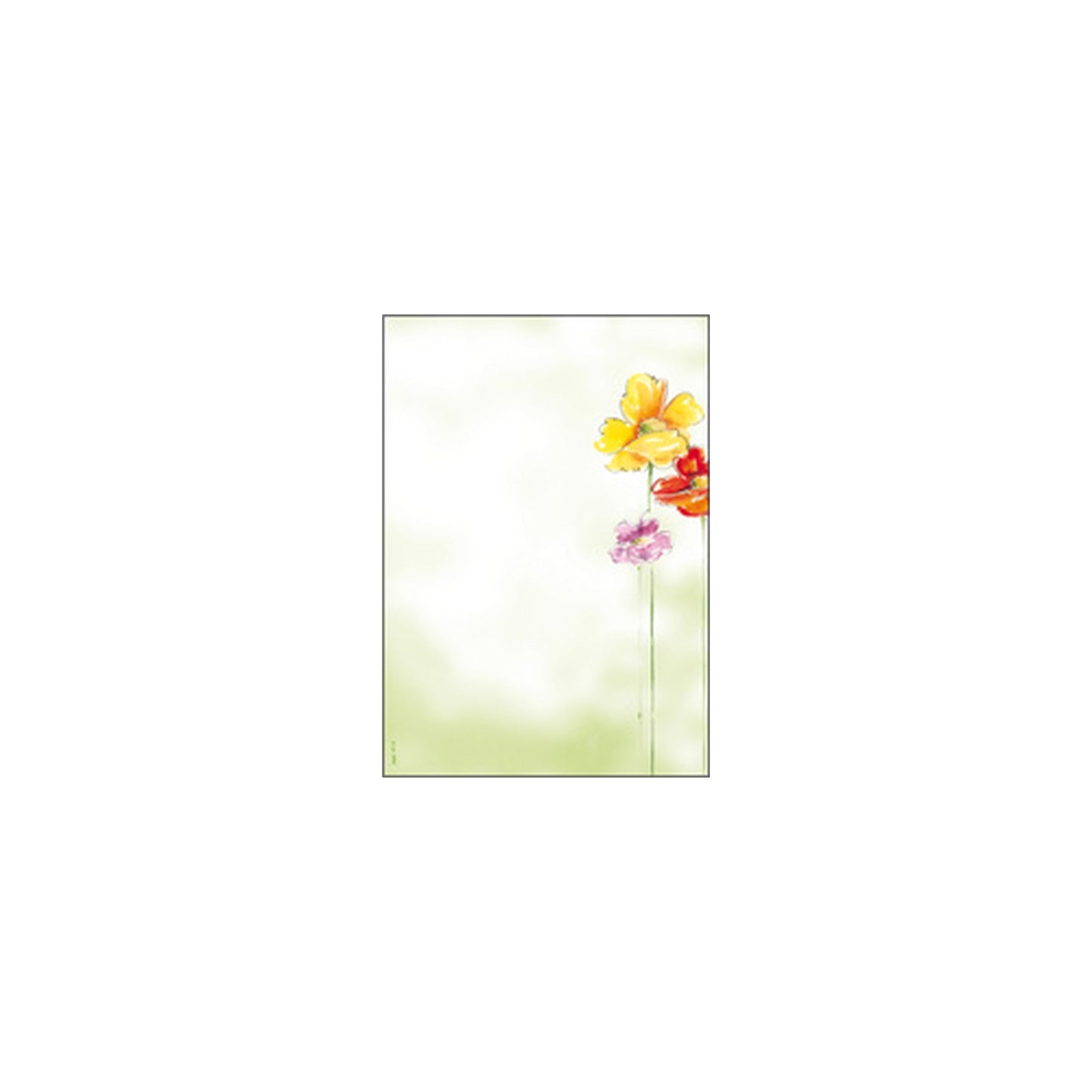 sigel Papier à motif, A4, 90 g/m2, motif "Spring Flowers"