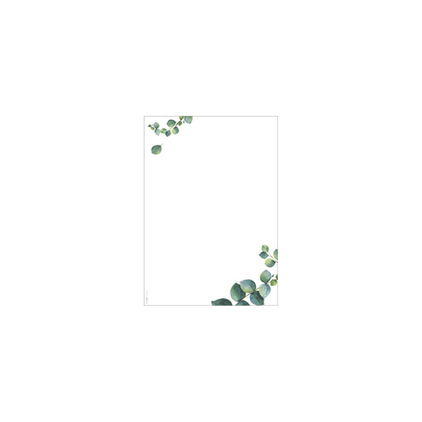 sigel Papier design "Eucalyptus", A4, 90 mm g/m2