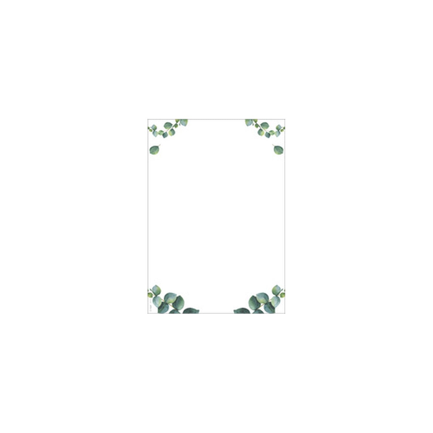 sigel Papier motif "Eucalyptus", A4, 90 mm g/m2, 2 colonnes