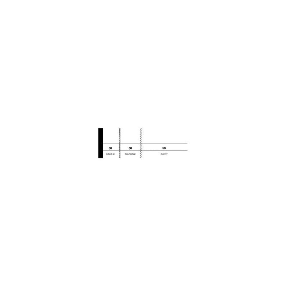ELVE Bloc passe-partout, 50 x 150 mm, pour tombola, blanc x10