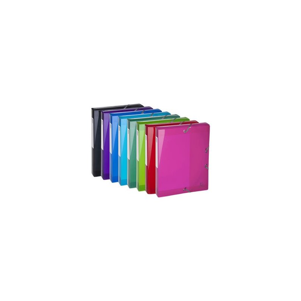 EXACOMPTA Boîte de classement Iderama, PP, A4, 60mm, assorti x8