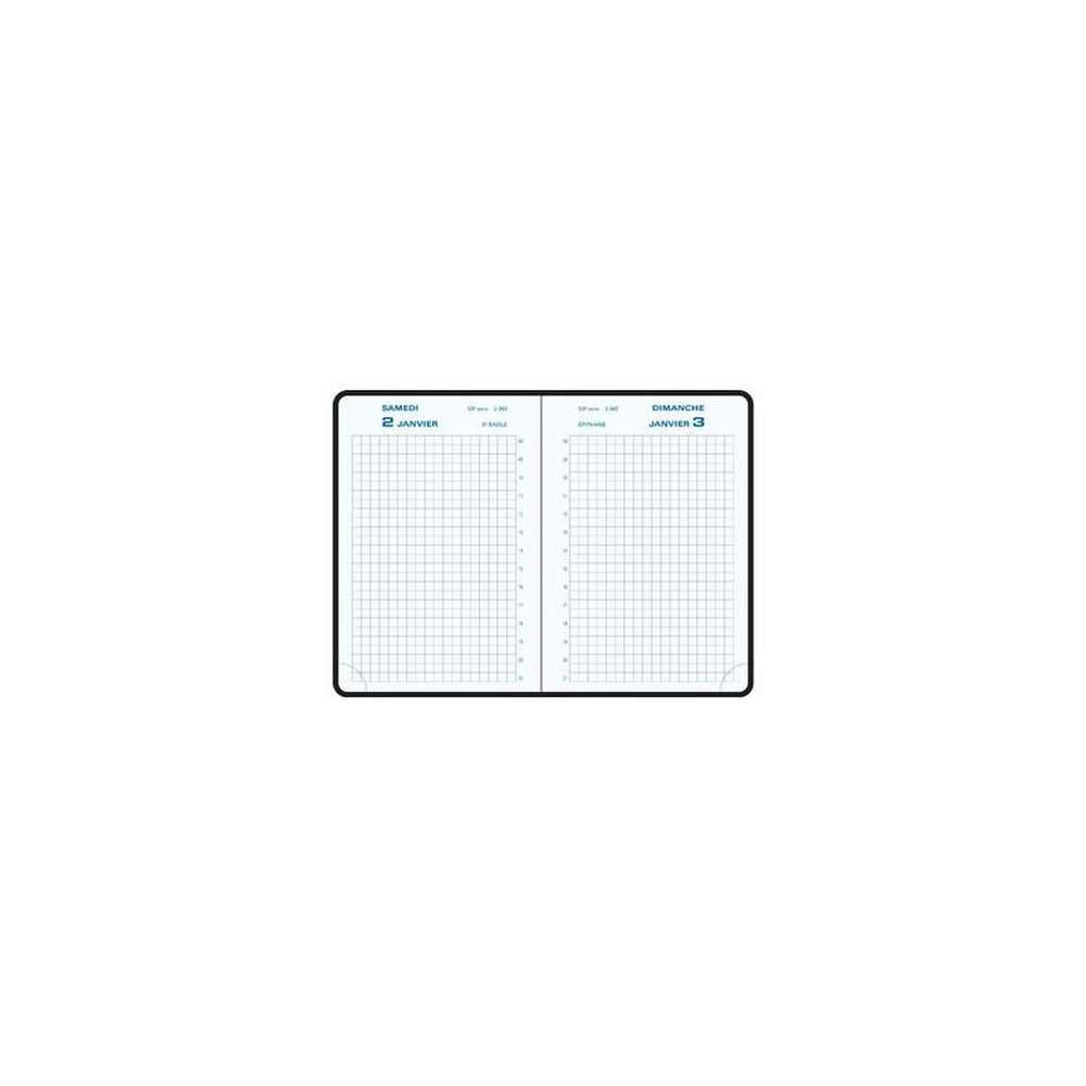 EXACOMPTA Agenda de poche Journal 13 Quadrillé 2027, assorti