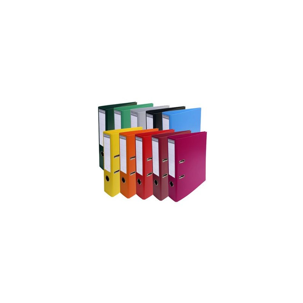 EXACOMPTA Classeur à levier PVC Premium, A4, vert clair x10