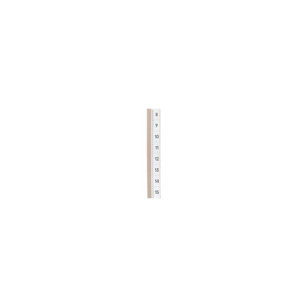DURABLE Onglet autocollant TABFIX, 2 lignes, transparent
