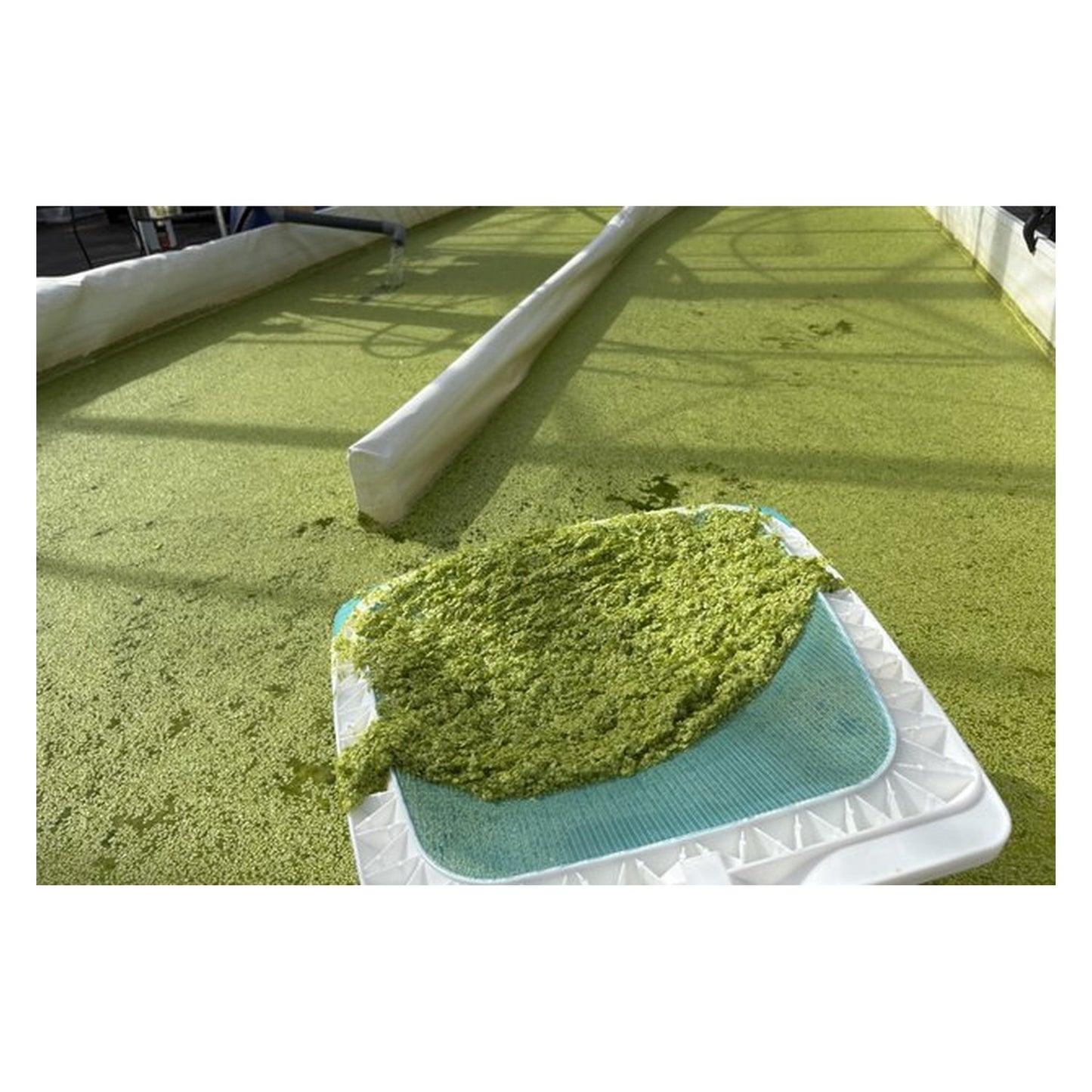 Unité développeur d'origine Develop A7Y013H / DV-312