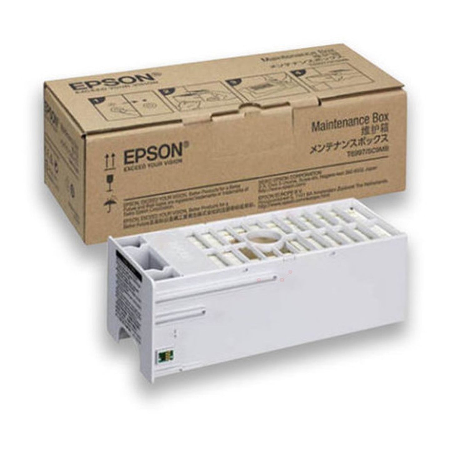 Boîte d'encre restant d'origine Epson C13T699700 / T6997