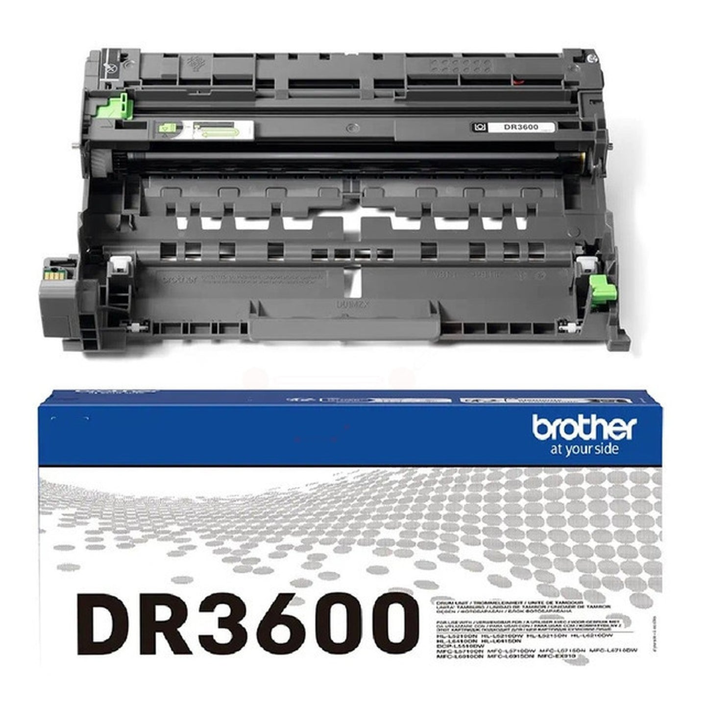 Tambour d'origine Brother DR3600