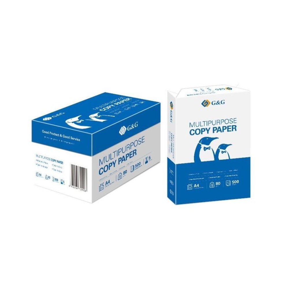 Carton de 5 ramettes de papier blanc A4 (210 × 297 mm) - 500 feuilles par ramette -80 g/m² - marque G&G.