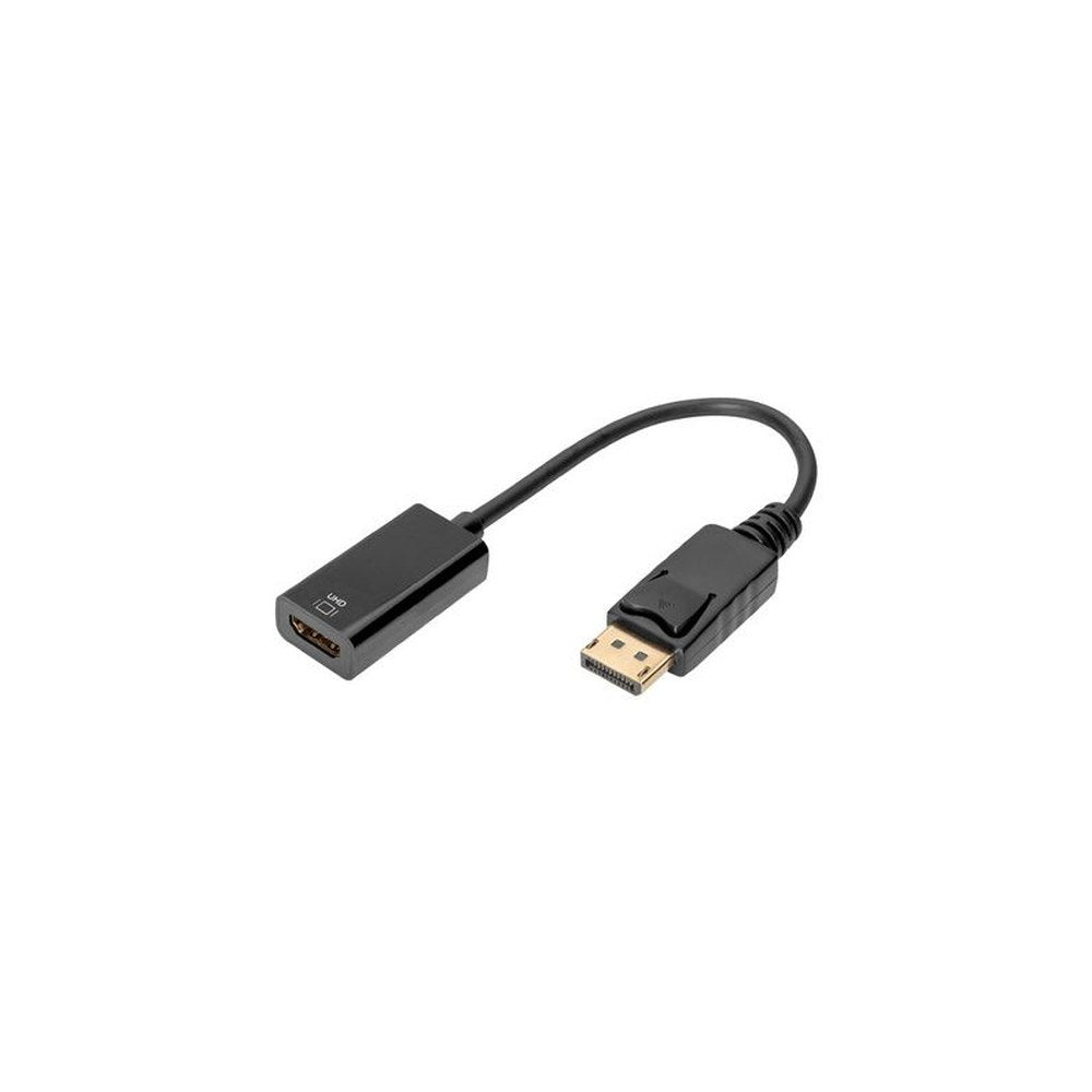 DIGITUS Adaptateur DisplayPort / convertisseur, 0,2 m