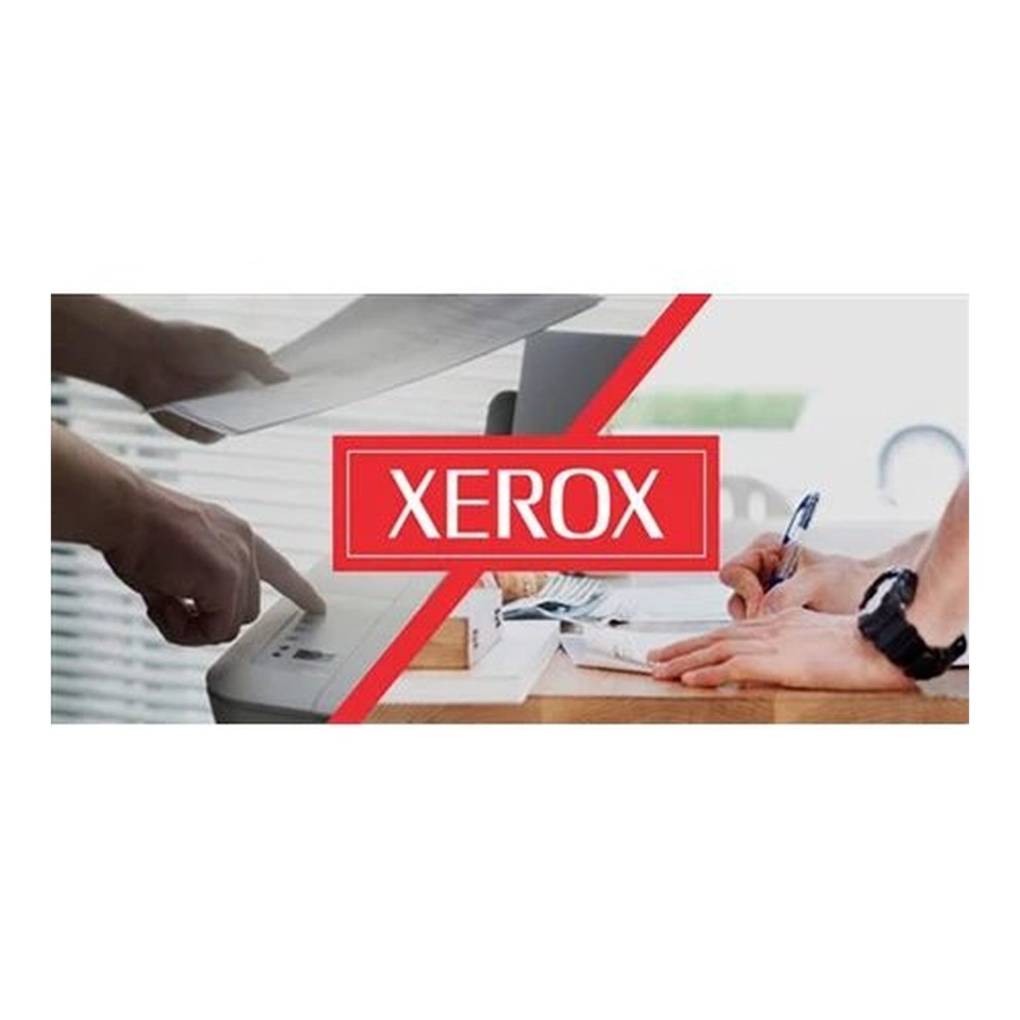 Tambour d'origine Xerox 113R00456