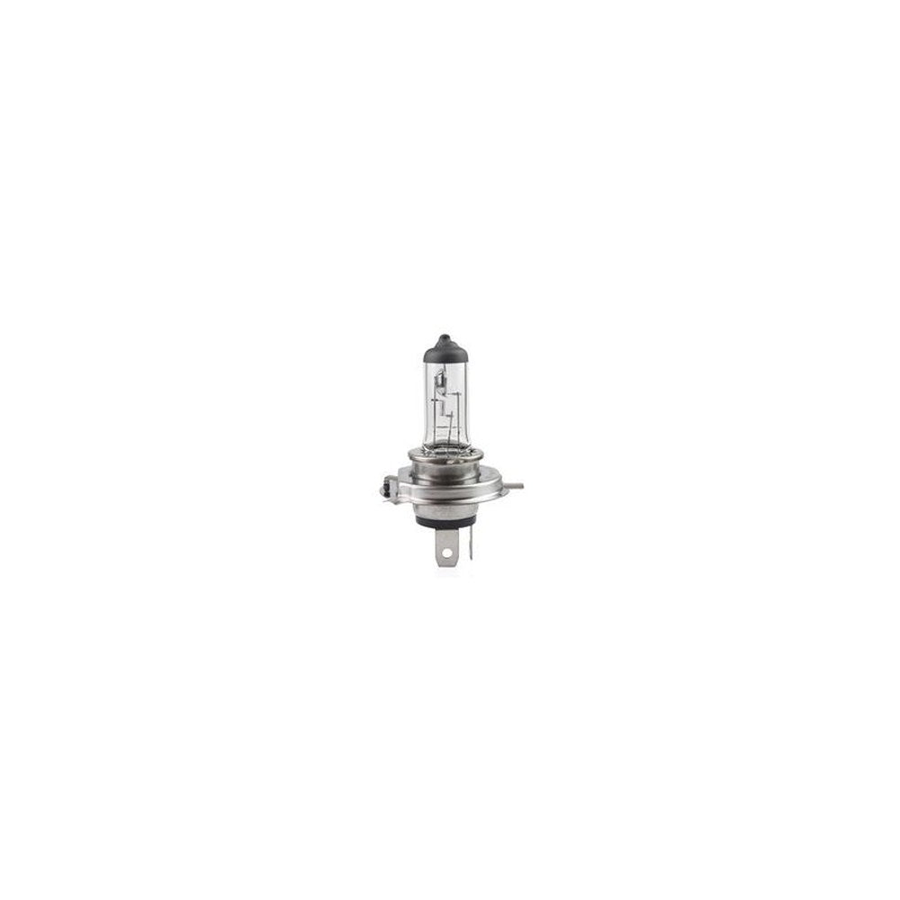 IWH Ampoule halogène H4 pour phare, 12 V / 60/ 55 W