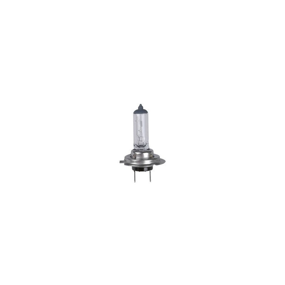 cartrend Ampoule halogène H7 pour phare, 12 V, 55 watts