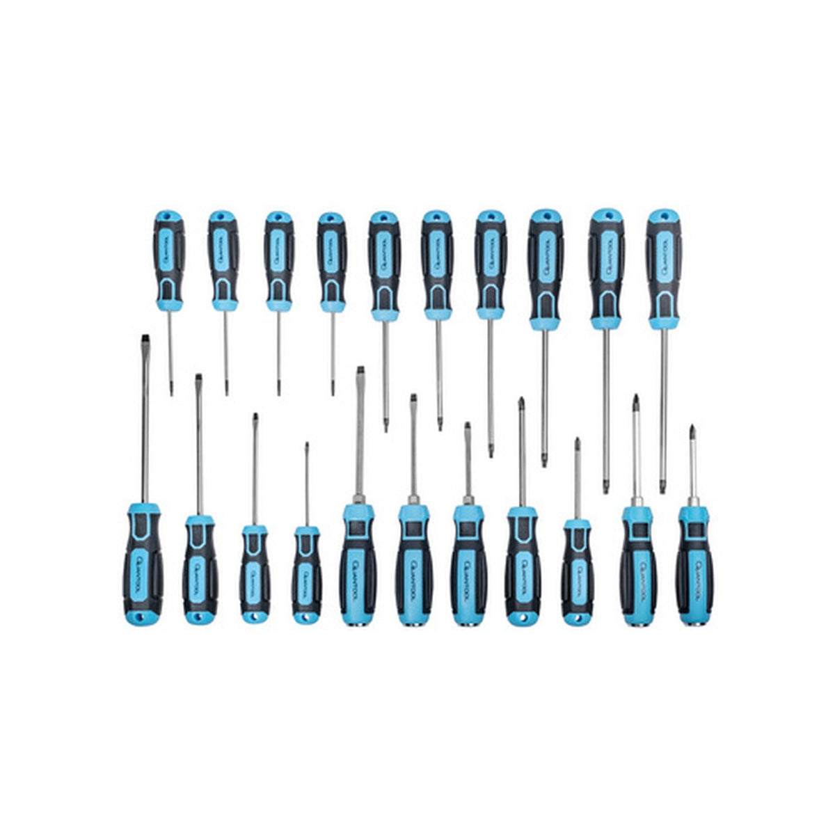 QUANTOOL Jeu de tournevis, 21 pièces, noir/bleu
