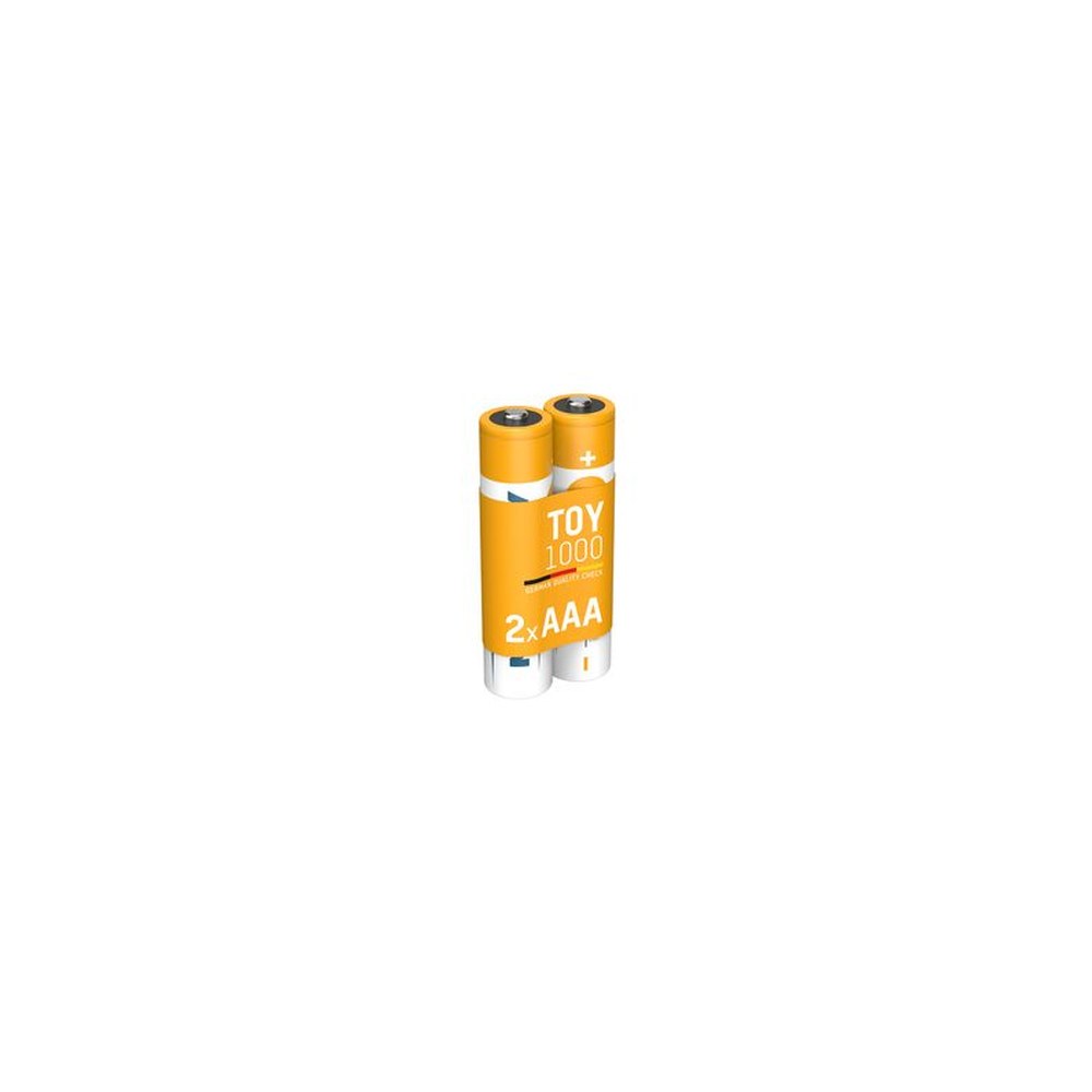 ANSMANN Pile rechargeable NiMH Toy, AAA, 1.000 mAh, 2 pièces