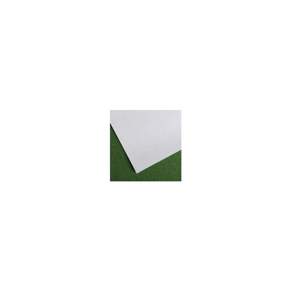 CANSON Buvard, 250 g/m2, dimensions: 500 x 650 mm, blanc x25