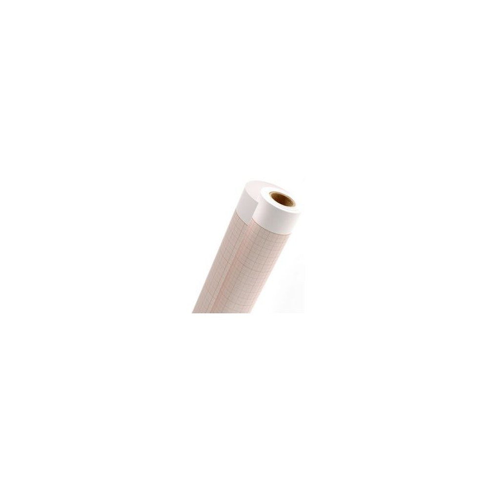 CANSON Papier millimétré en rouleau, 750 mm x 10 m, 90 g/m2