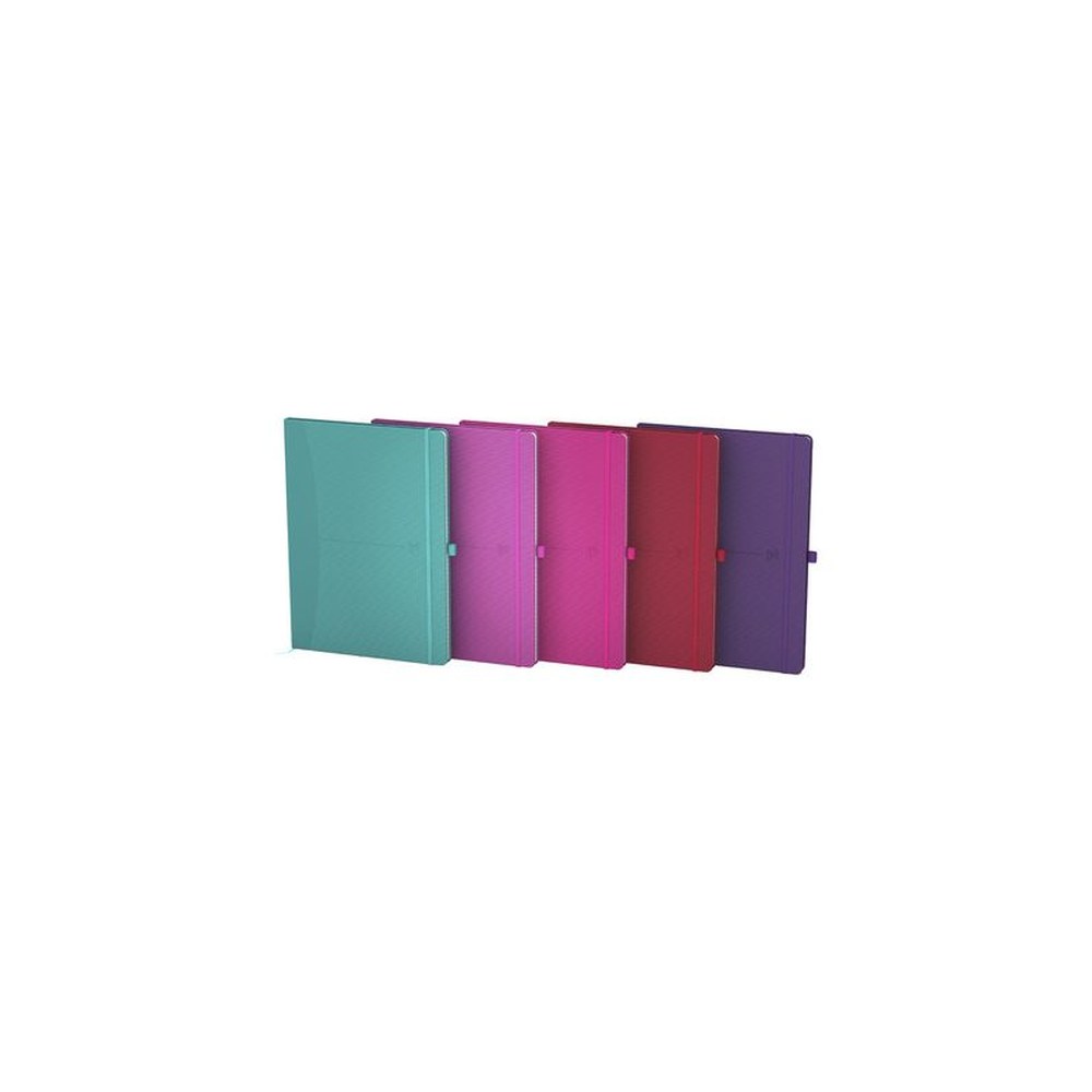 Oxford Carnet de notes "Signature", B5, quadrillé, couleurs x5