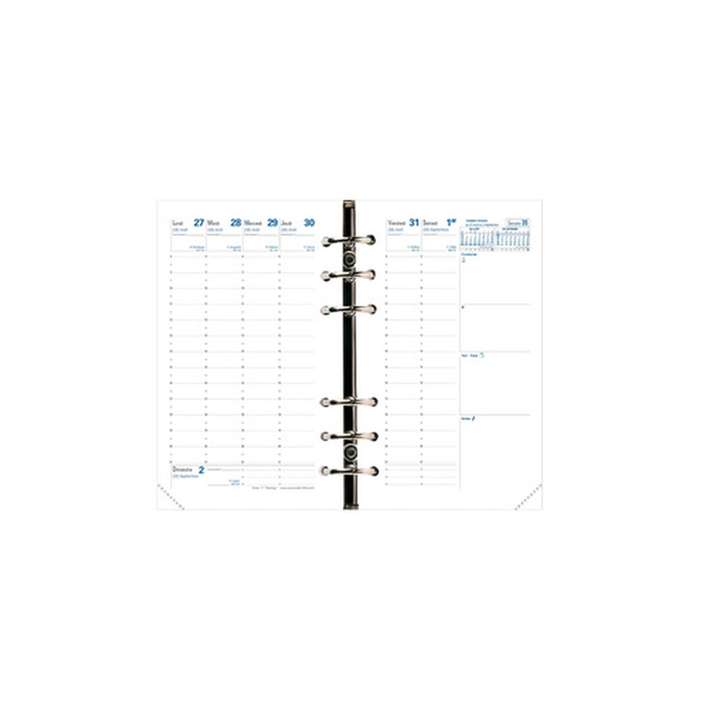 QUO VADIS Recharge "Timer 17 Planing", 2026/2027, 16 mois