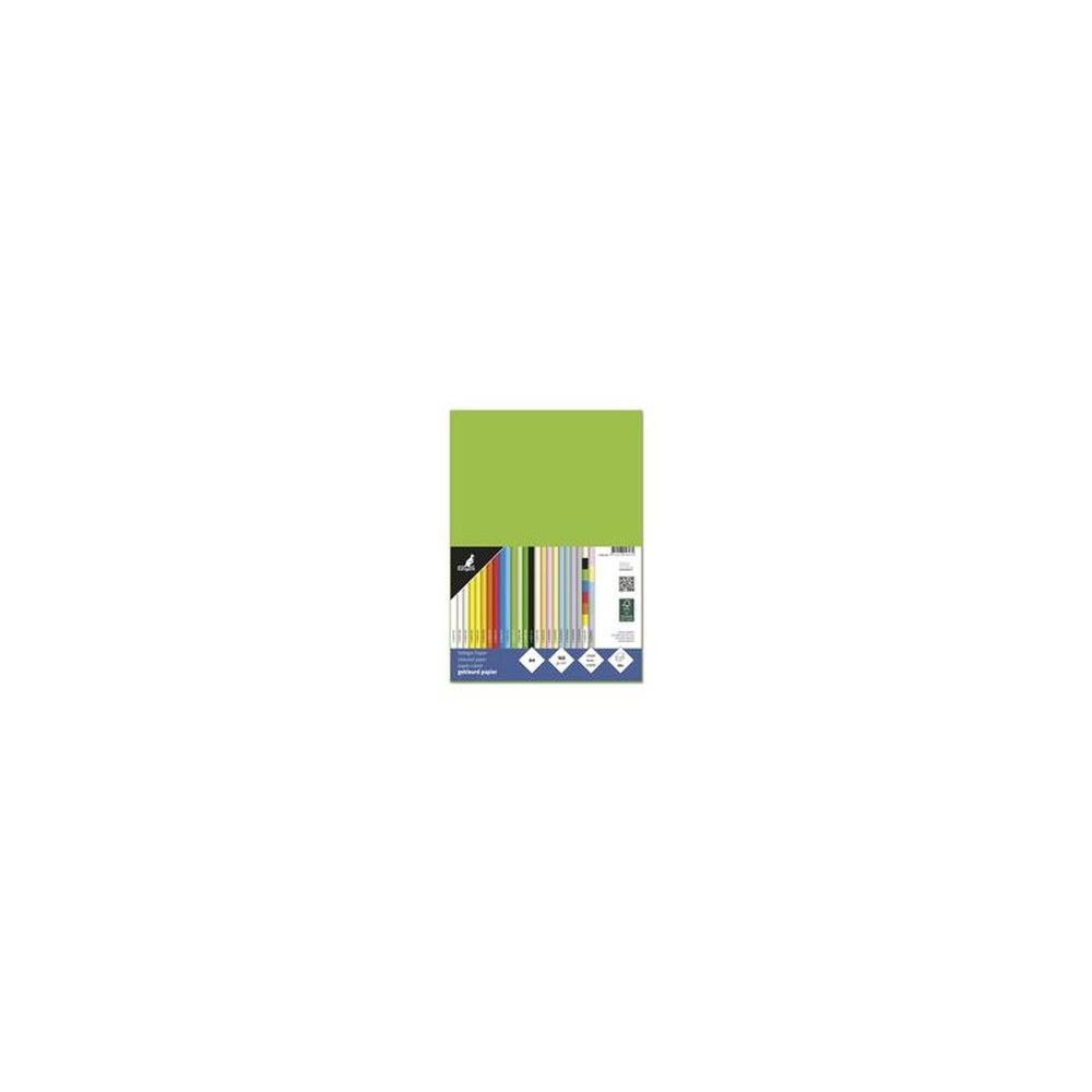 kangaro Papier multifonction, A4, 160 g/m2, vert clair