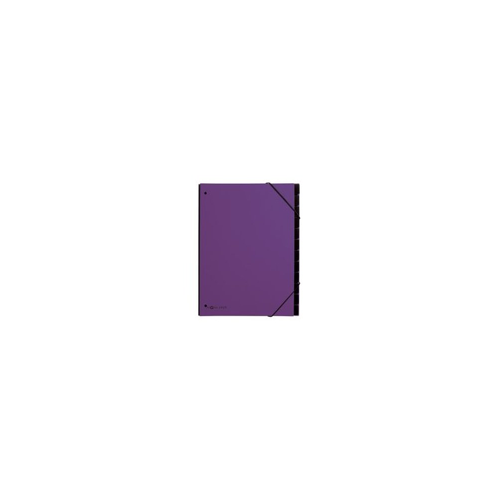 PAGNA Trieur Trend, A4, 12 compartiments, violet
