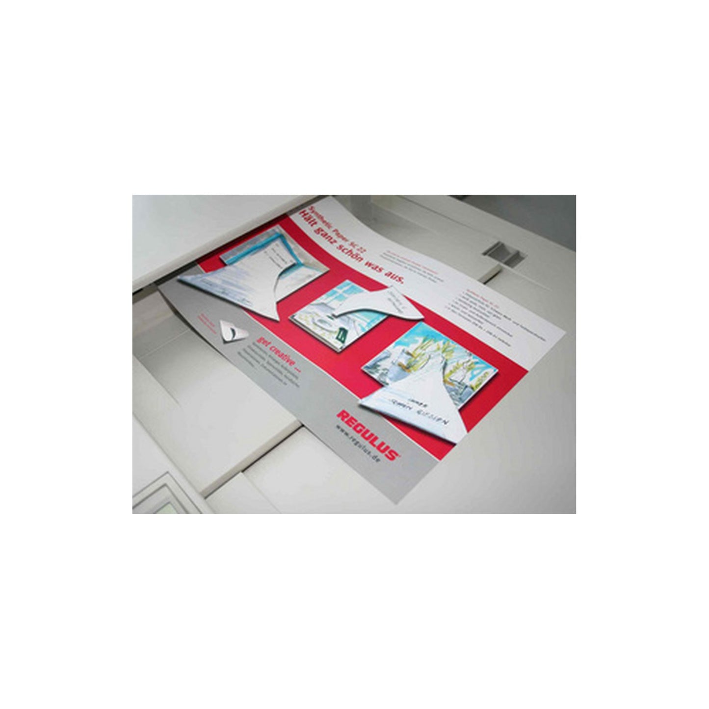 REGULUS Film polyester SIGNOLIT SC, A4, blanc
