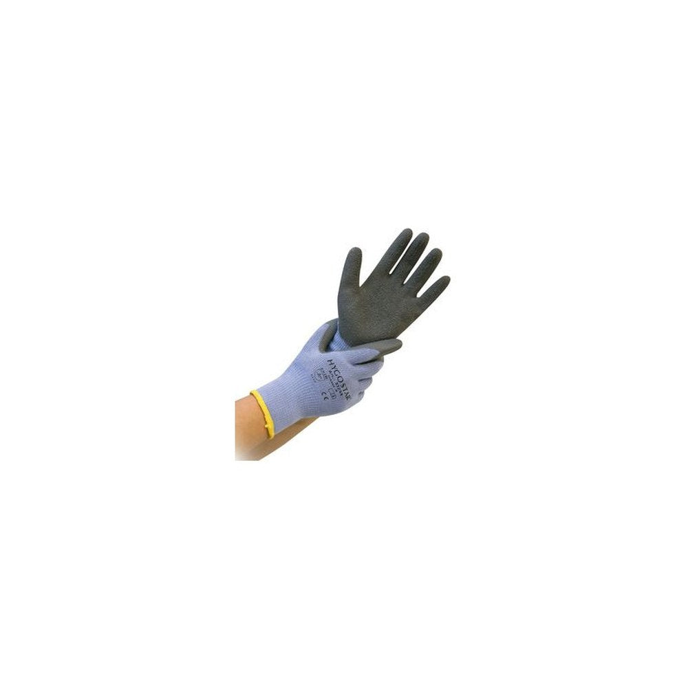 HYGOSTAR Gant de protection contre le froid THERMO GRIP, XL x12