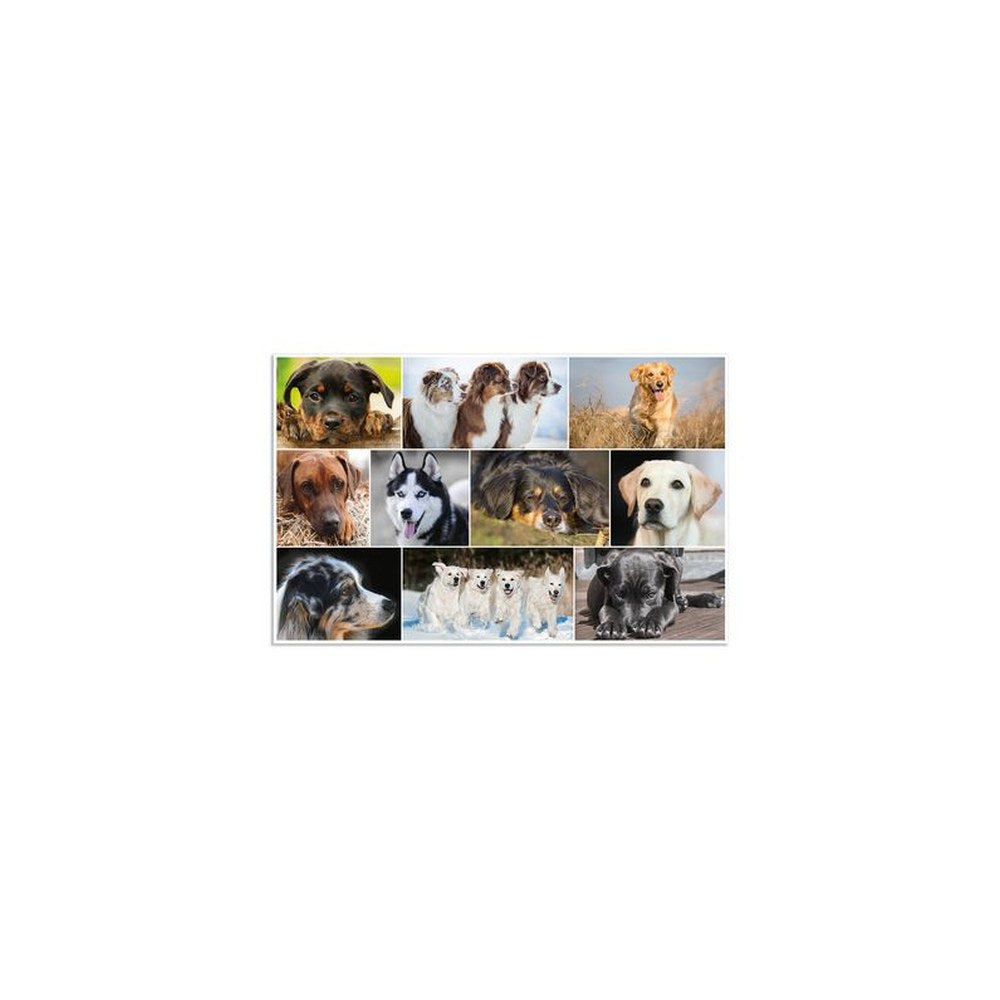 HERMA Sous-main "Chiens", (L)550 x (H)350 mm