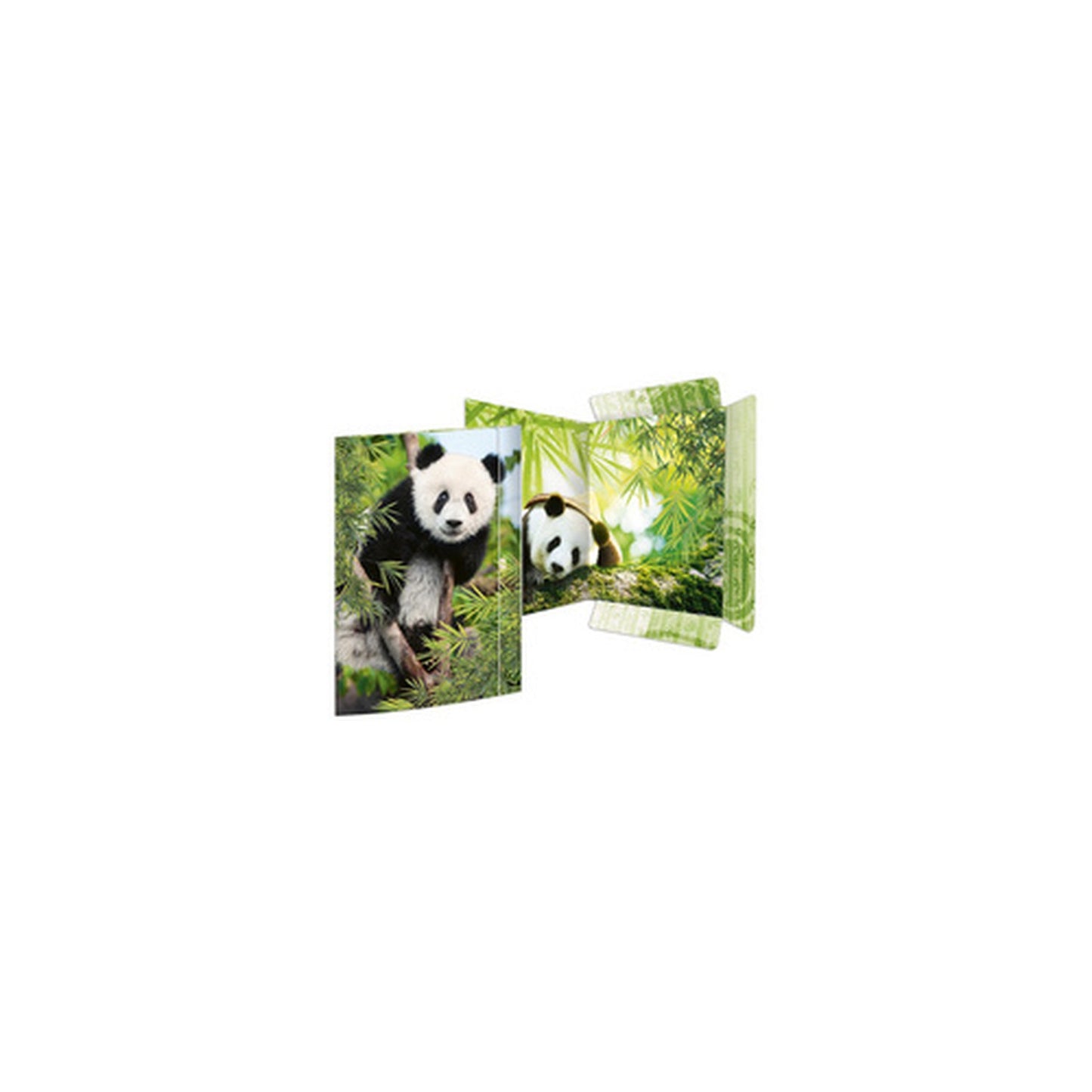 RNK Verlag Carton à dessin "Panda", A3
