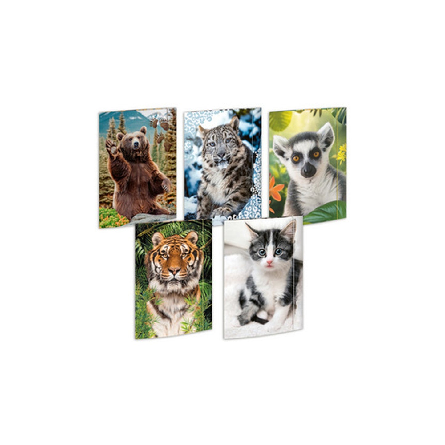 RNK Verlag Carton à dessin "Animaux", A3 - assortiment