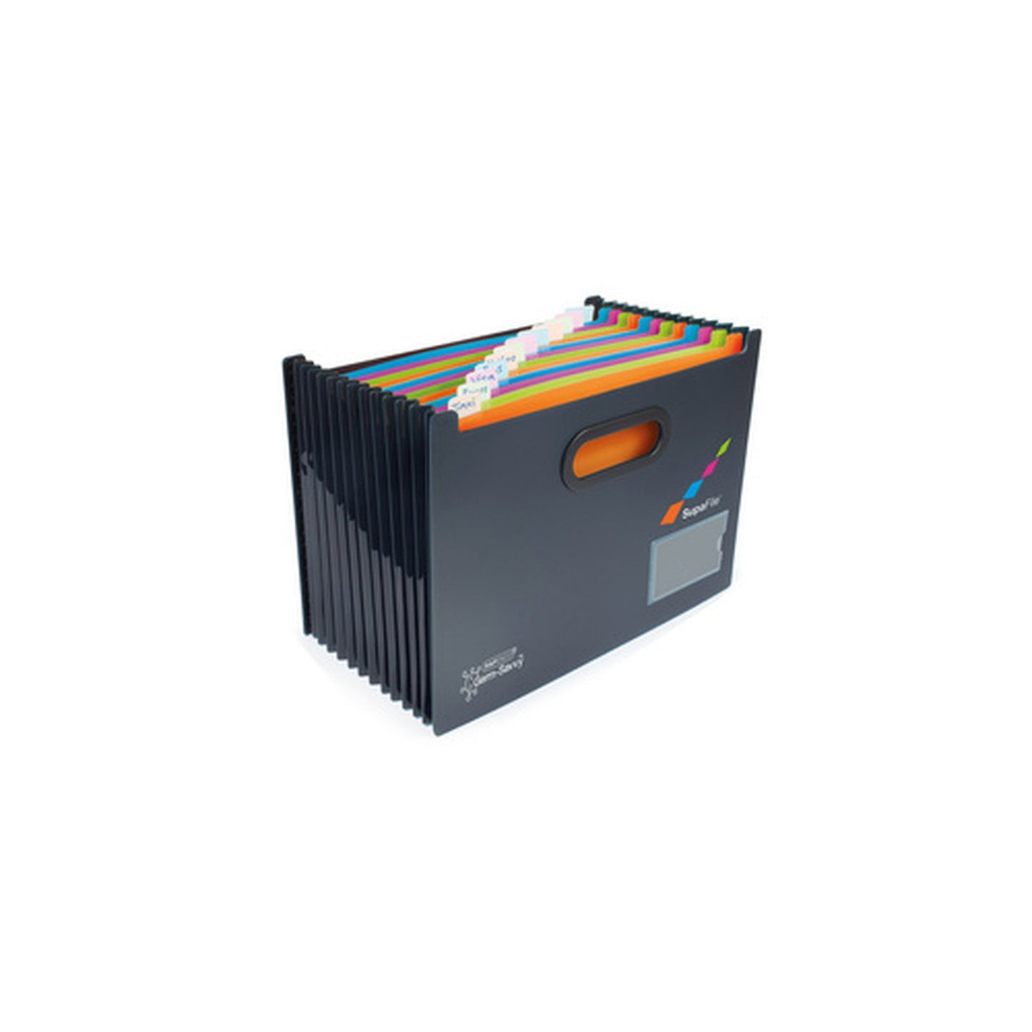 RAPESCO Trieur SupaFile, A4, 13 compartiments, noir
