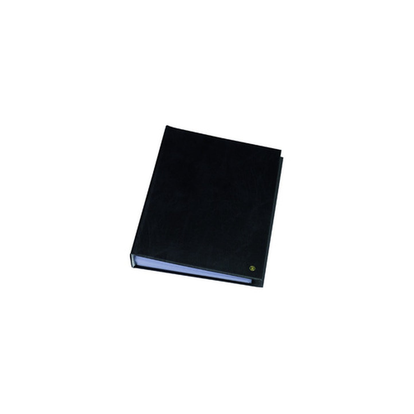 rillstab Protège-documents "Original", A4, 60 pochettes